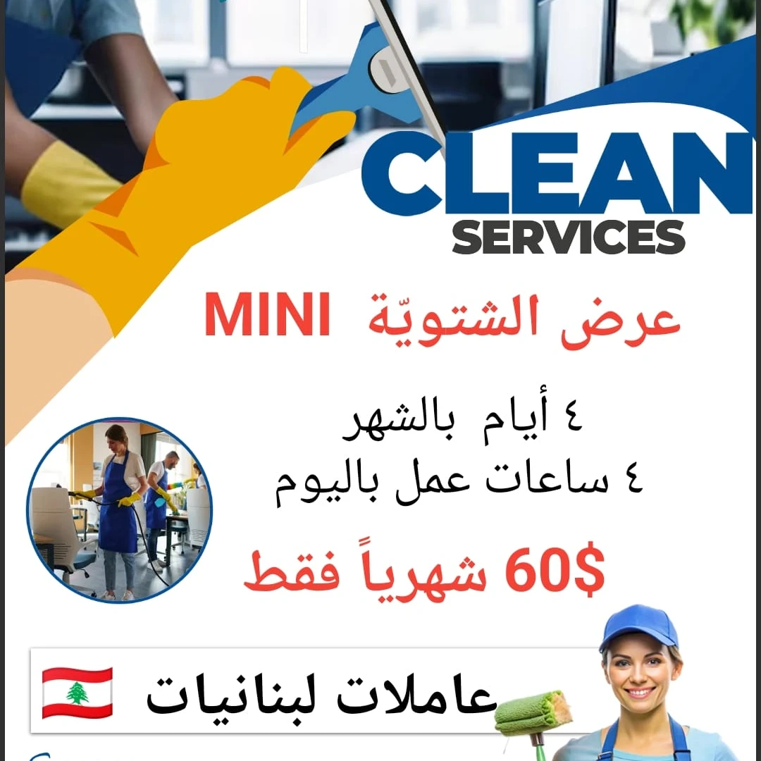 Cleaning Service Winter Offer Mini
