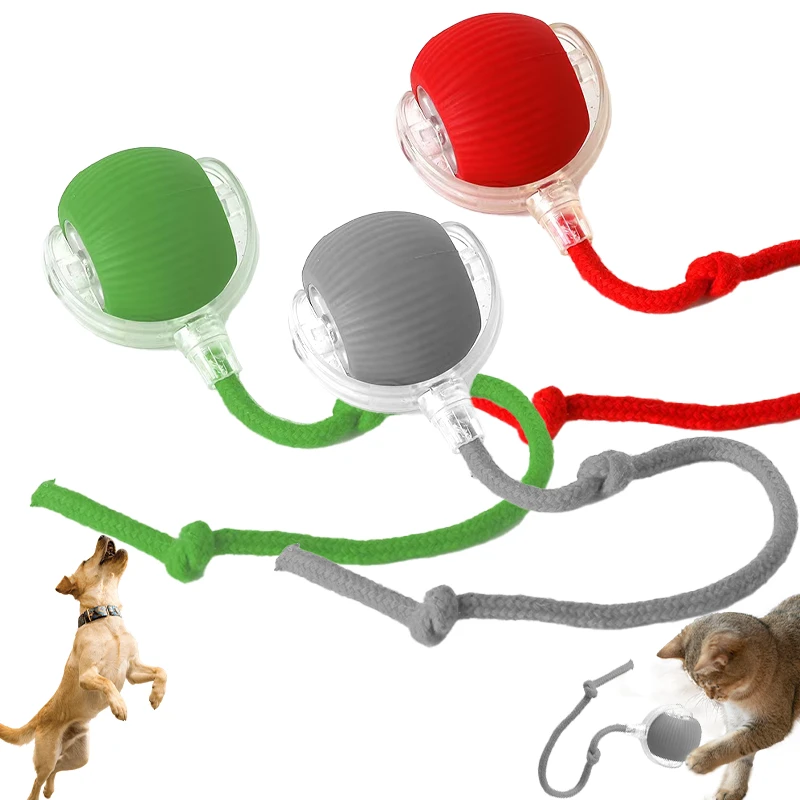 Interactive Pet Ball