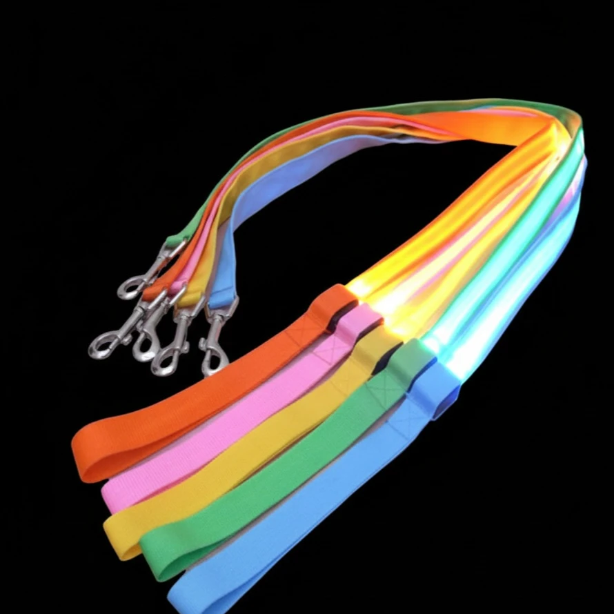 LED Leash