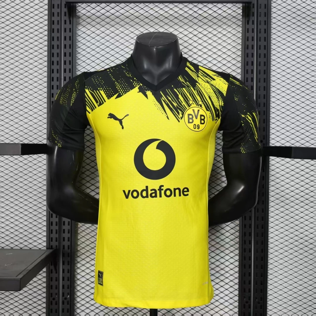 Dortmund home 25/26