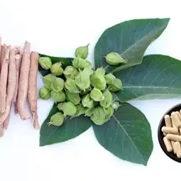Ashwagandha Capsules