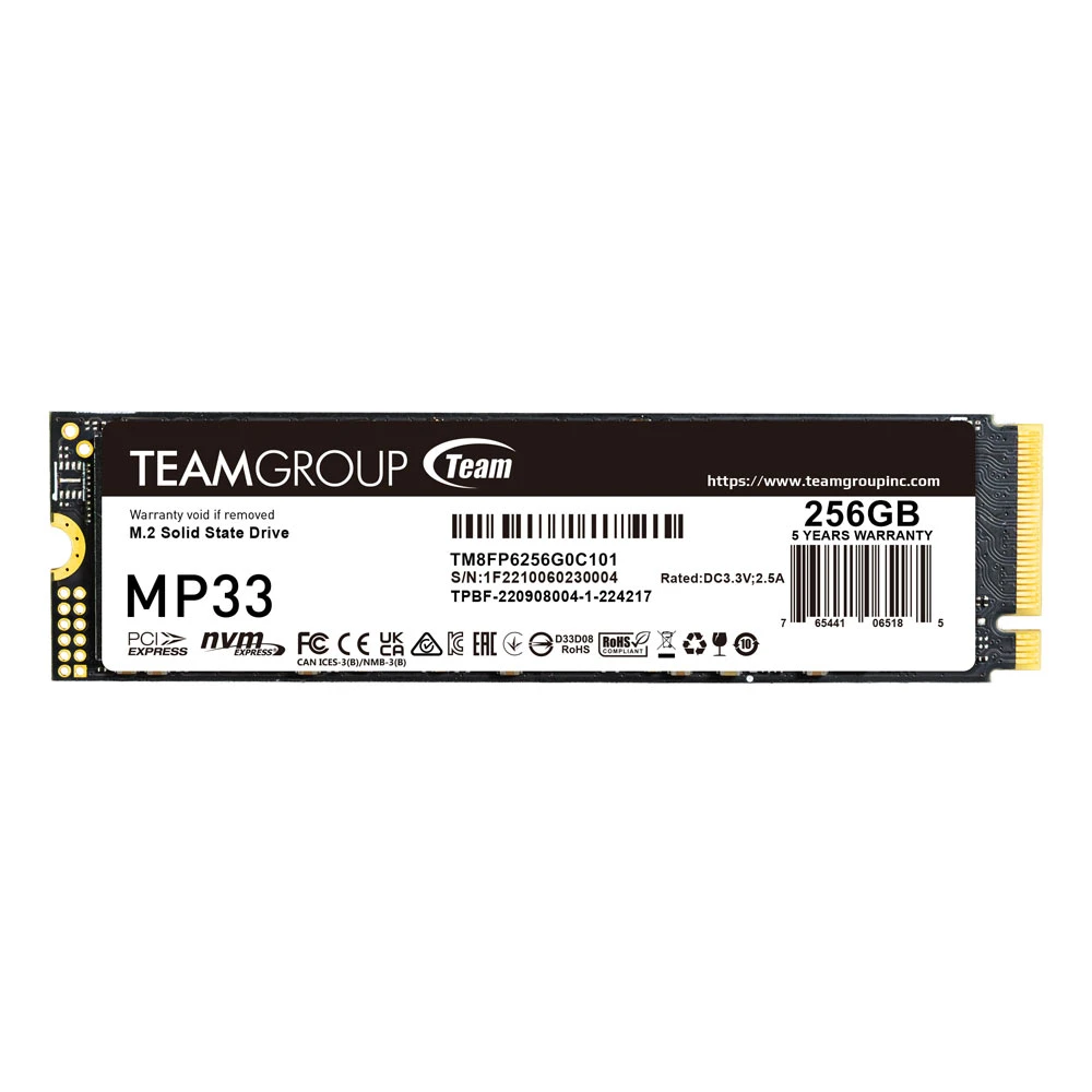 TEAM GROUP MP33 256GB NVME GEN 3X4
