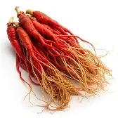 Red Ginseng