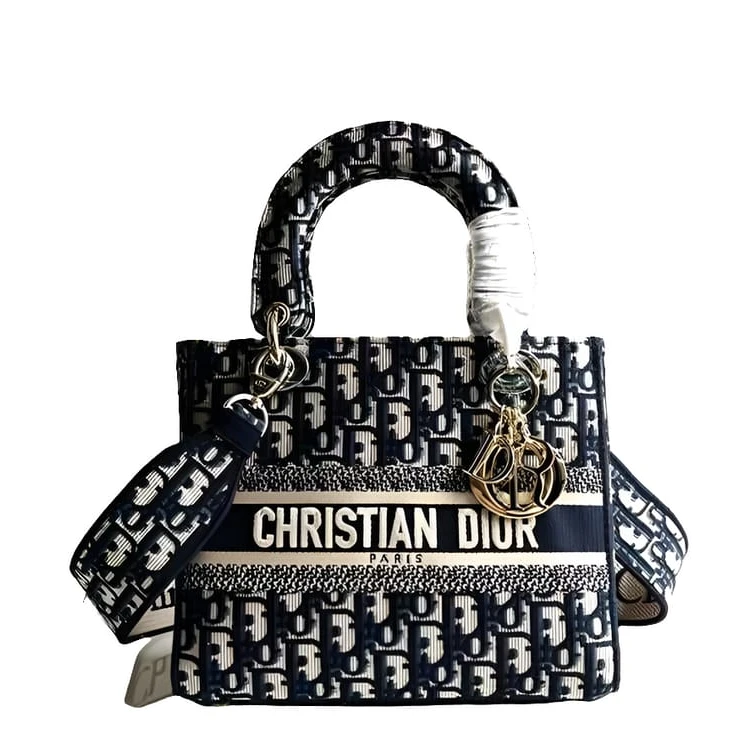 CHRISTI@N DIÔR Signature Embroided Lady Dior Bag - 7