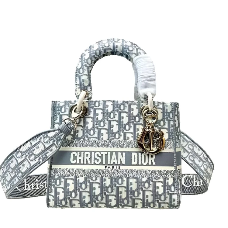 CHRISTI@N DIÔR Signature Embroided Lady Dior Bag - 9