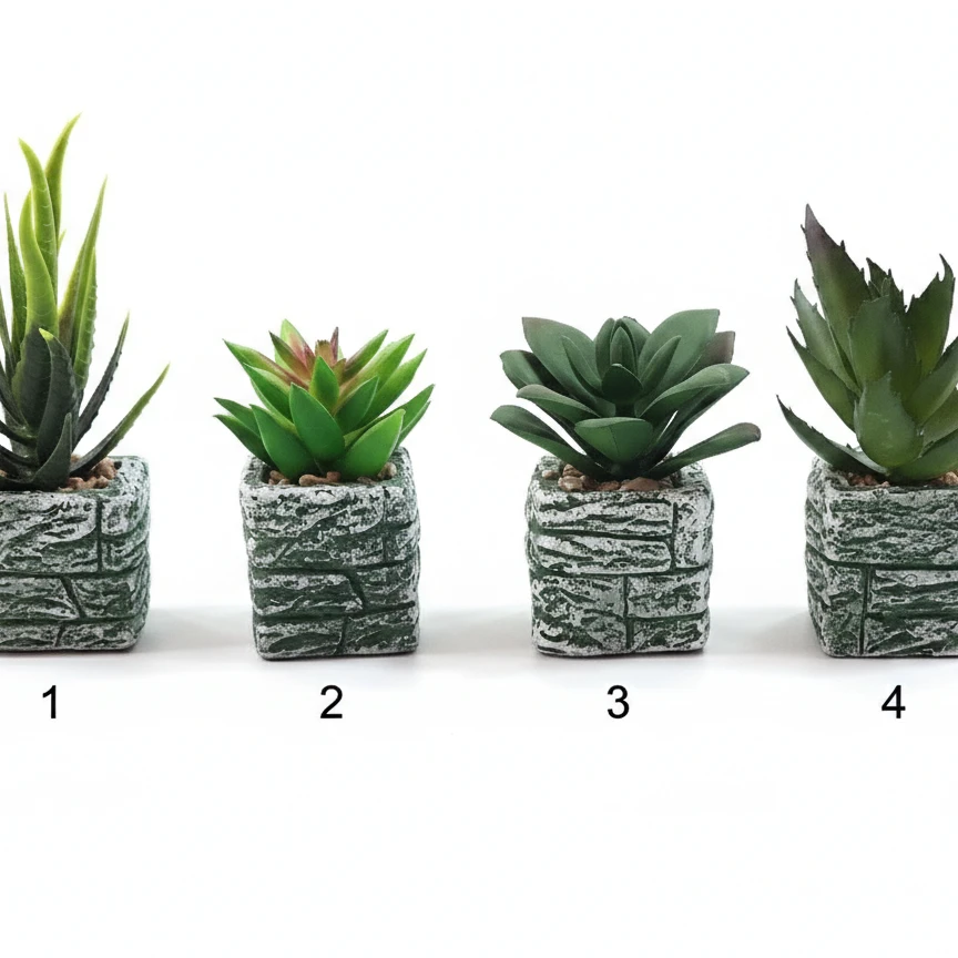 mini plant home decor