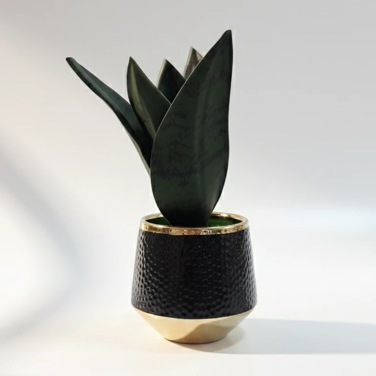 Plant Home Decor
