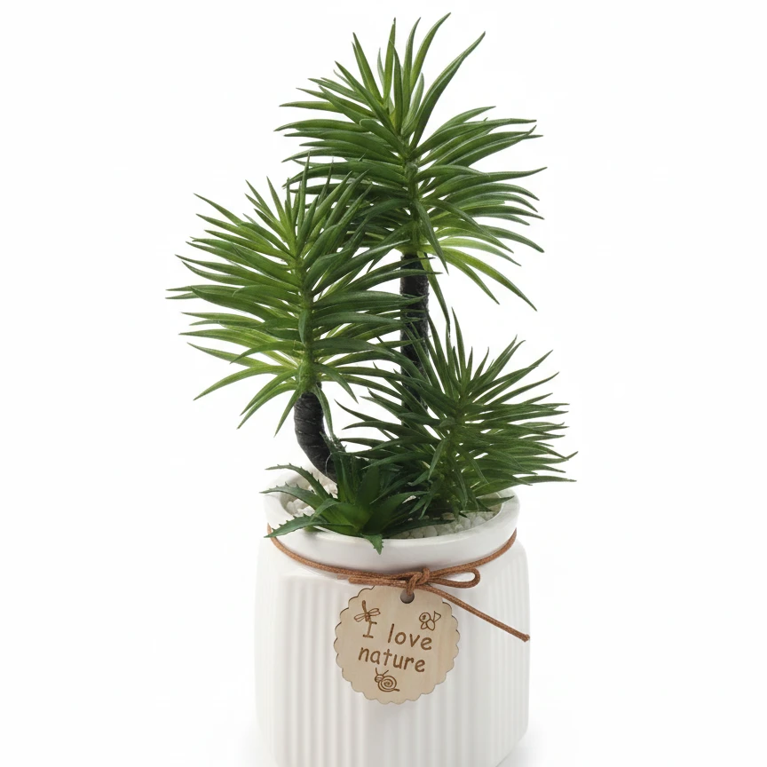 plant home decor