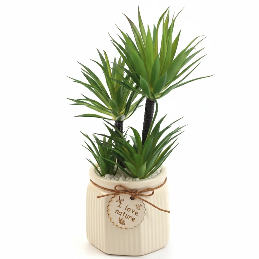 Plant Home Decor