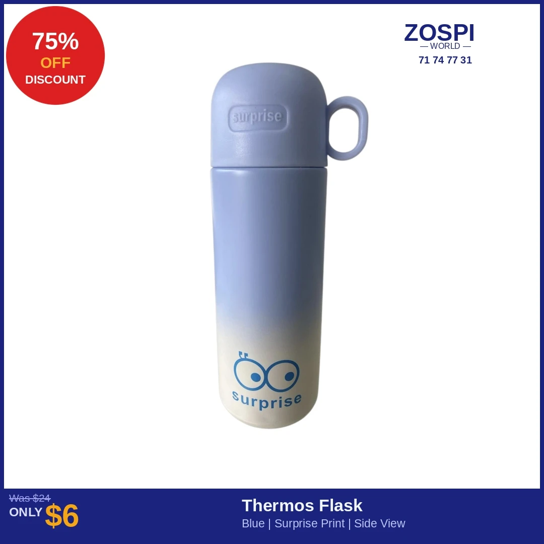 Thermos Flask Blue