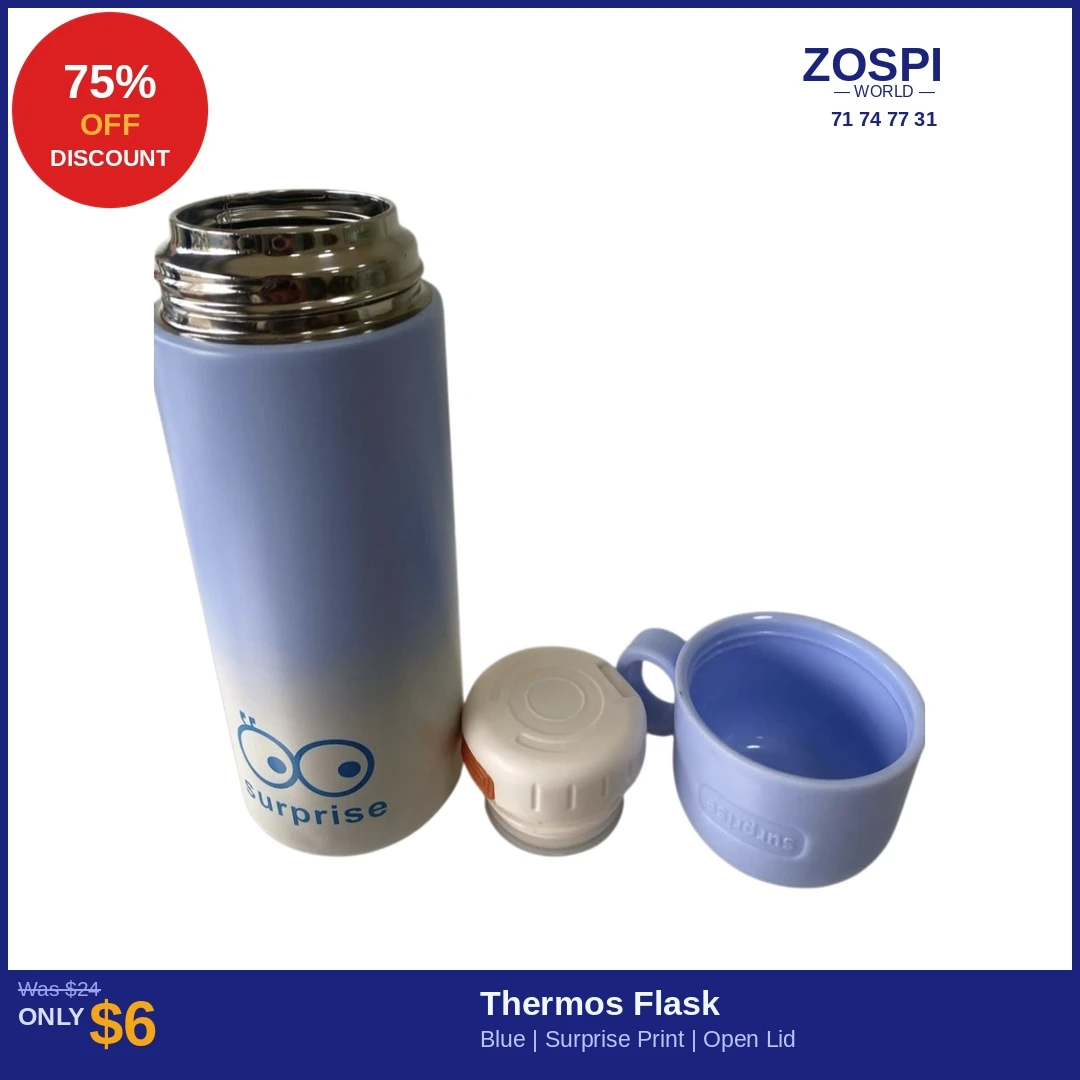 Thermos Flask Blue - 2