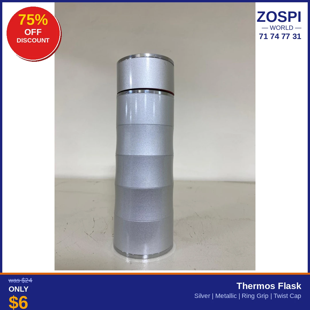 Thermos Flask Silver Metallic SM6