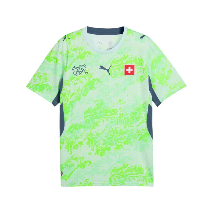 Switzerland Home WC26