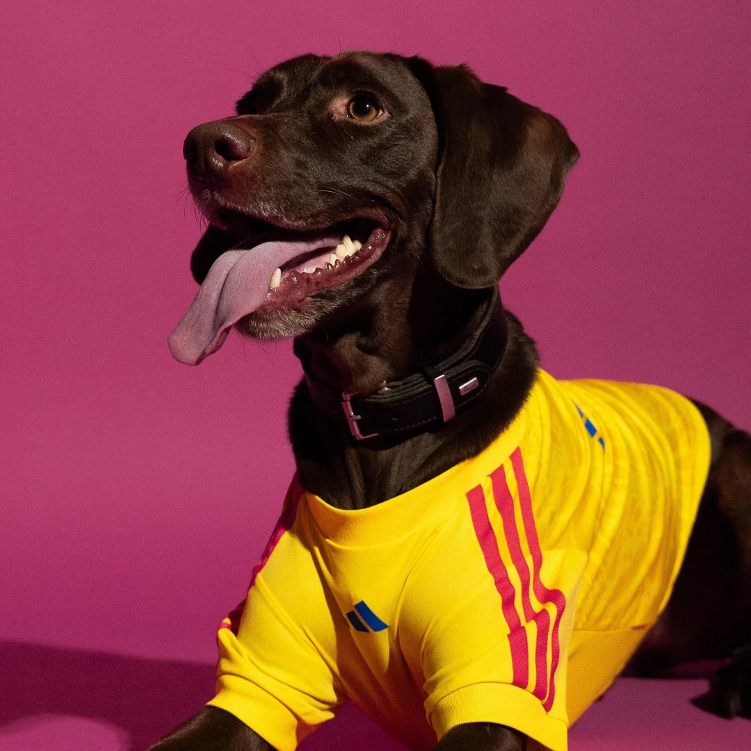 Colombia Home (Pets) - 3