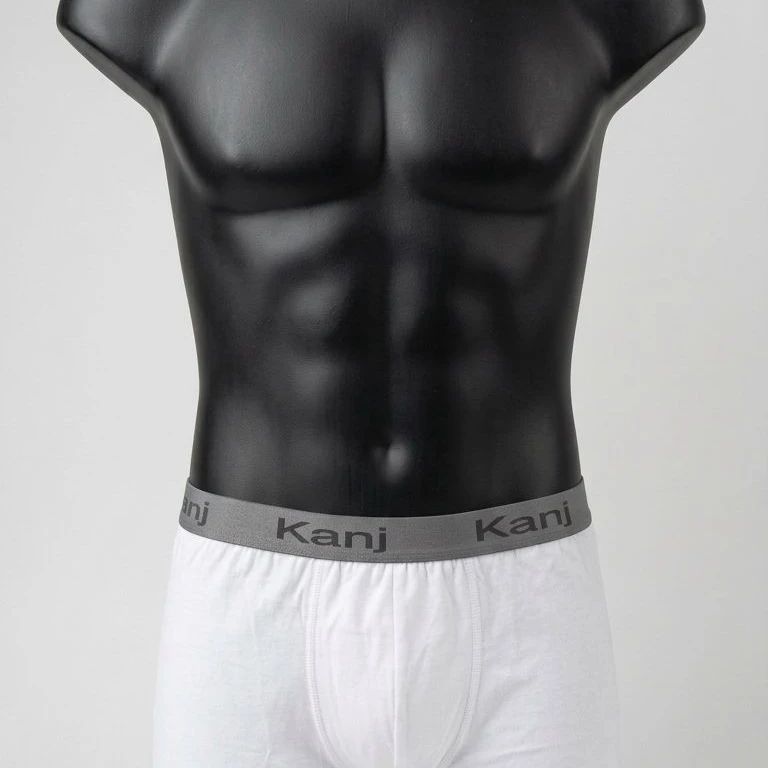 Underpants Boxer White