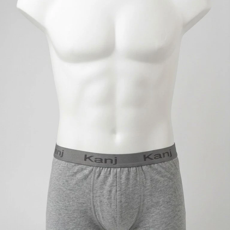 Underpants Boxer Grey