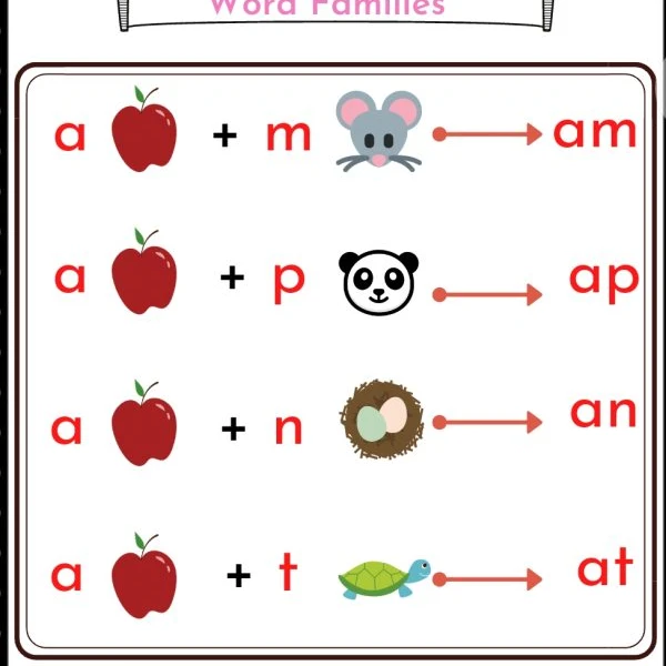 Short Vowels Workbook - 2