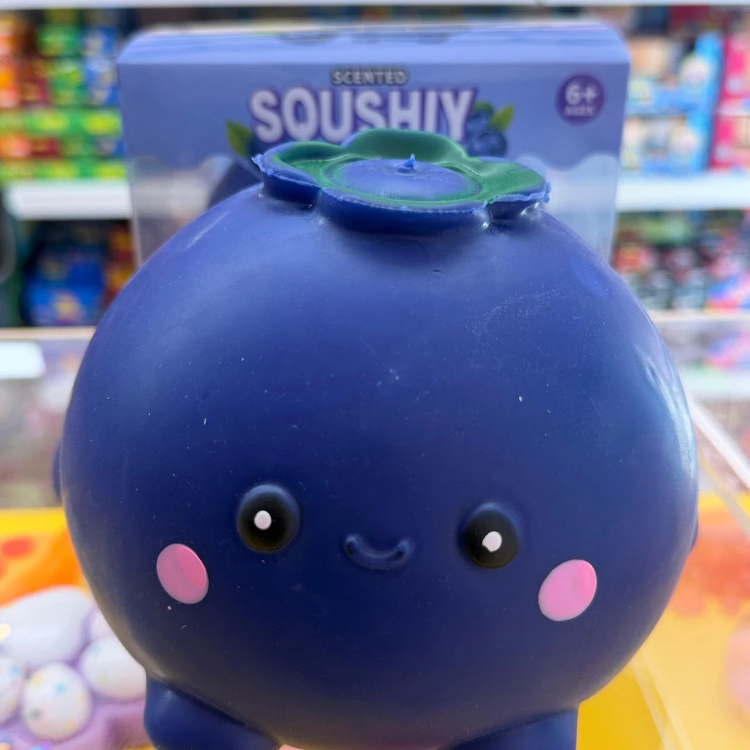 Large Scented Blueberry Squishy