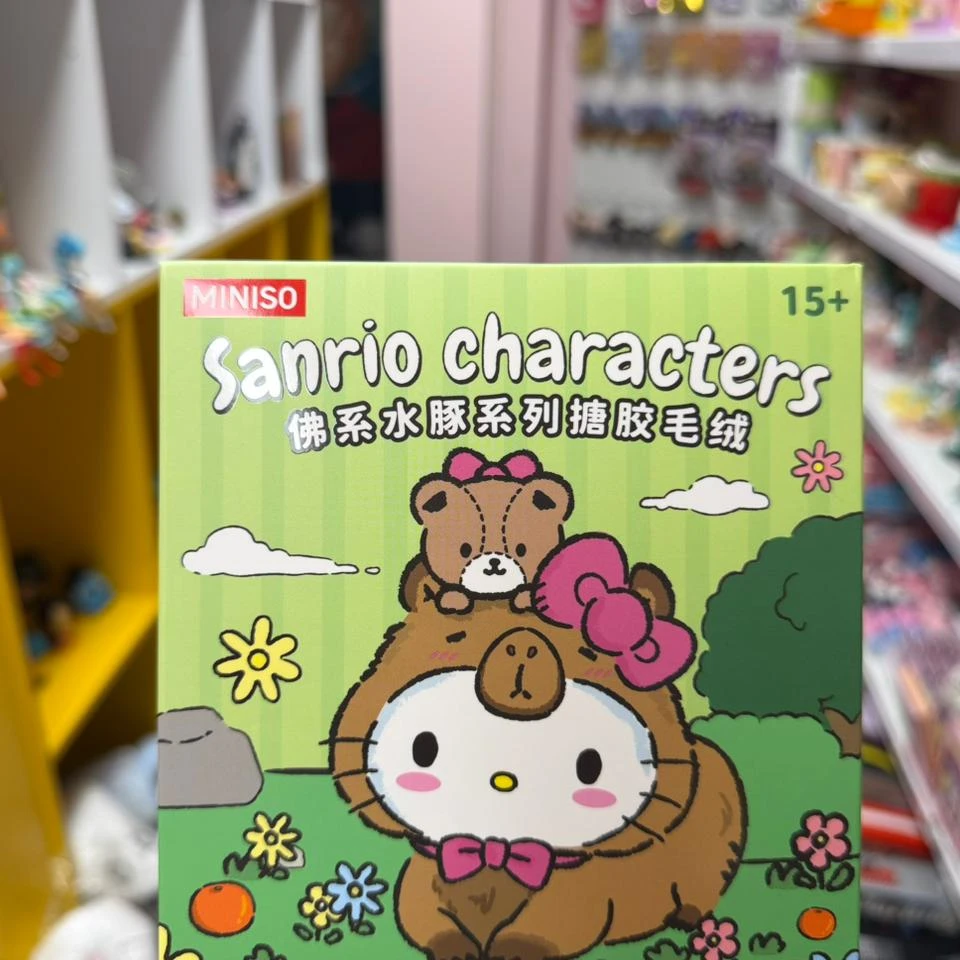 Sanrio Characters Blind Box