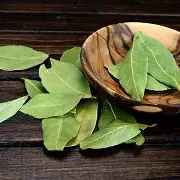 ورق غار / Bay Leaves