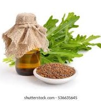 زيت الجرجير